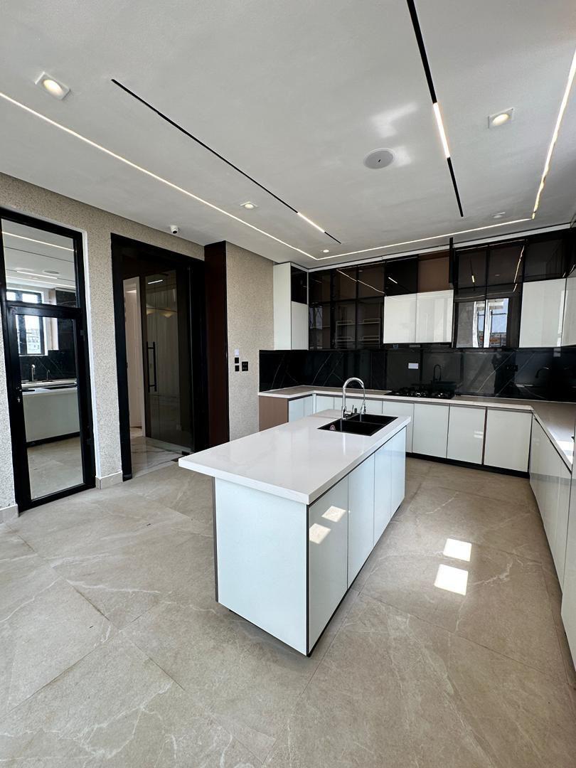 Modern Kitchen